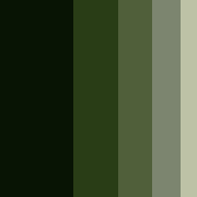 Preview banner for Image Color Extractor showing swatch bands